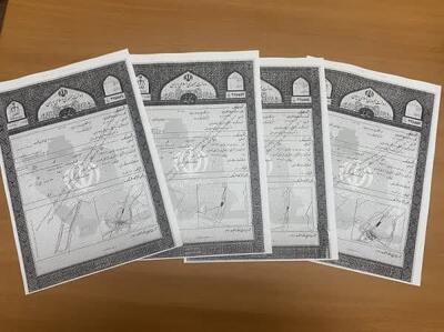 بیش از 6 هکتار از رودخانه علی آباد تفت سند دار شد