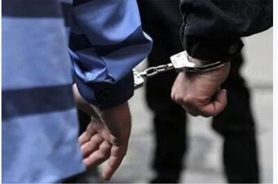 دستگیری ۳۵ جاسوس و عامل نفوذی دشمن در همدان