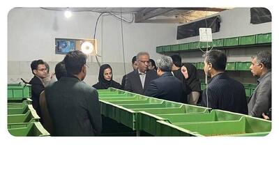 ضرورت توسعه مشاغل خرد و خانگی در سیستان و بلوچستان