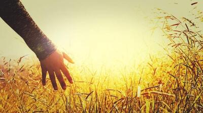 میگنا - چگونه از دوران سختی‌ها گذر کنیم؟