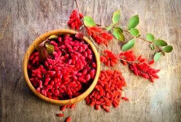 خواص بی نظیر زرشک در طب سنتی