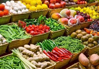پایداری مراکز قرنطینه گیاهی هرمزگان در جنگ 12 روزه - تسنیم