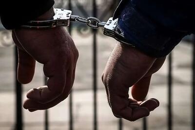 دستگیری عامل نزاع دسته جمعی در پیروزی | اقتصاد24