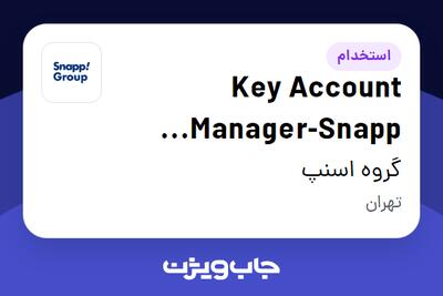 استخدام Key Account Manager-Snapp Shop(H B) در گروه اسنپ