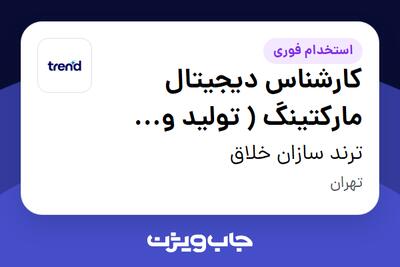 استخدام کارشناس دیجیتال مارکتینگ ( تولید و اجرای تبلیغات) - خانم در ترند سازان خلاق