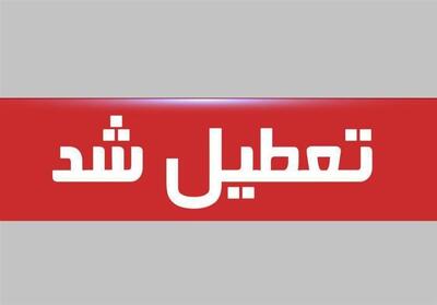 تعطیلی ادارات و بانک‌های برخی استان‌ها فردا به دلیل موج گرما | لیست استان‌های تعطیل در فردا چهارشنبه 11 تیر ماه 1404