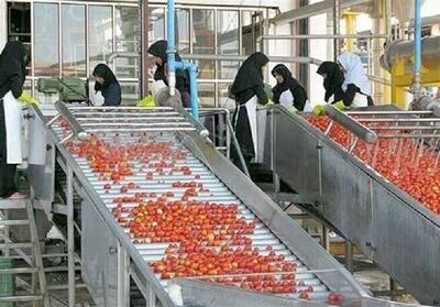 قشم، قطب صنعتی نوظهور؛ چالش‌ها و چشم‌اندازها برای توسعه پایدار - تسنیم