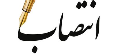 مشاور وزیر در امور بانوان وزارت نفت منصوب شد