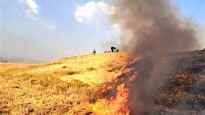 آتش سوزی در ۲۵ هکتار از مزارع گندم سقز