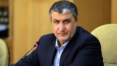 رییس انرژی اتمی : پیشرفت برنامه هسته‌ای ایران  ادامه خواهد داشت