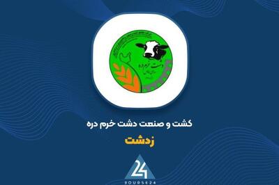 توضیحات «زدشت» در خصوص افزایش سرمایه