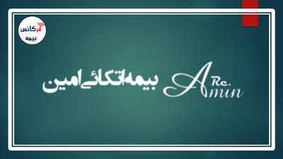 از سوی بیمه اتکایی امین انجام شد؛ اختصاص بودجه سالگرد تاسیس به آزادی زندانیان و یاری رساندن به بیمارستان‌ها