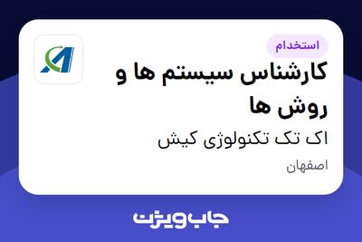استخدام کارشناس سیستم ها و روش ها در اک تک تکنولوژی کیش