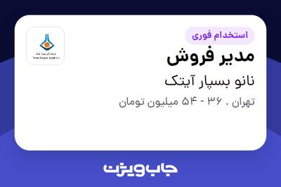 استخدام مدیر فروش در نانو بسپار آیتک