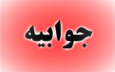 رئیس مرکز ارتباطات رسانه مجلس: مصوبه مجلس تعلیق همکاری با آژانس است، نه خروج از  NPT