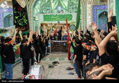 برپایی برنامه احلی من‌العسل در امامزاده هلال بن علی+تصویر - تسنیم