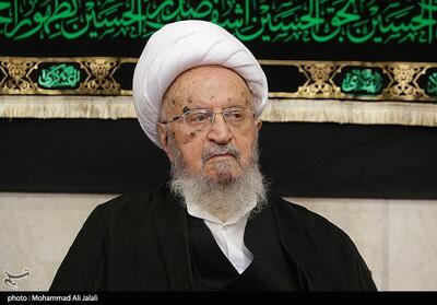 اندیشمندان اجازه ندهند مفهوم حقوق بشر توسط ناقضان اصلی آن تحریف و تباه شود - تسنیم