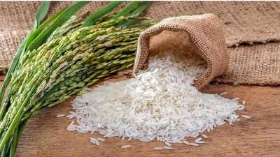 قیمت برنج ایرانی امروز ۱۱ تیر ۱۴۰۴ + آخرین نرخ انواع برنج - ویدائو مگ