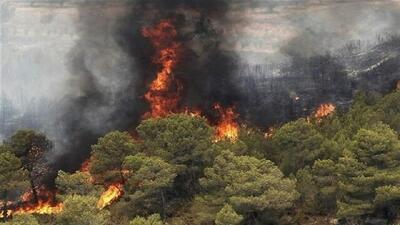 مردم لرستان از آتش زدن کاه و کلش خودداری کنند؛ مجازات قانونی برای متخلفین