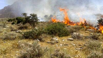 آتش سوزی در منطقه حفاظت شده آق‌داغ خلخال مهار شد