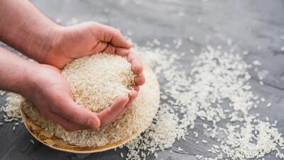 کمبود برنج نداریم/ با گرانفروشان برنج برخورد می‌شود