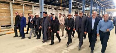 استاندار: مشکلات کارخانه آجر دهدشت رفع می‌شود 