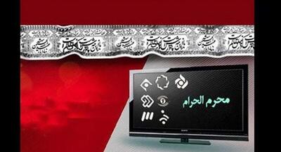 سینمایی‌های تلویزیون در روزهای عزای سالار شهیدان | جهان نیوز