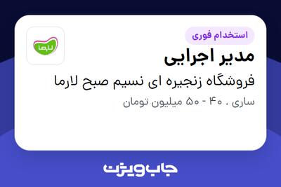 استخدام مدیر اجرایی - آقا در فروشگاه زنجیره ای نسیم صبح لارما
