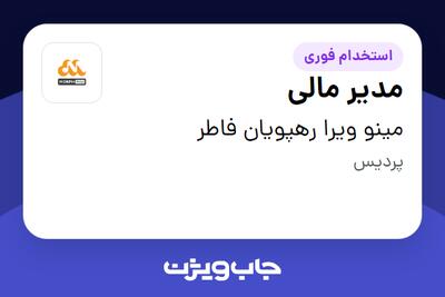 استخدام مدیر مالی در مینو ویرا رهپویان فاطر