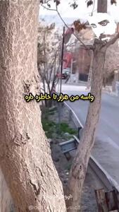 فیلم/ این خانه در زعفرانیه تهران، خانه داریوش اقبالی بوده است