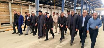 افزایش تولید و اشتغال در دهدشت با راه‌اندازی کامل کارخانه آجر