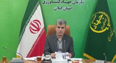 جهش تولید برنج در گیلان؛ گامی بلند به سوی خودکفایی، اشتغال و کشاورزی پایدار