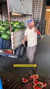 بحران قیمت، کشاورزان را به نابودی هندوانه‌ها کشاند + فیلم