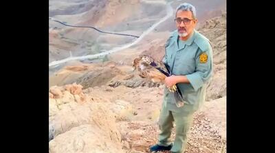 رهاسازی  عقاب شاهی  در آسمان سمنان (فیلم)