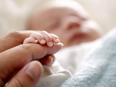 آمار تولد نوزادان در جنگ 12 روزه