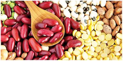 سرانه بالای مصرف حبوبات در ایران؛ حبوبات ارزان می‌شود؟