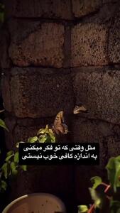 اگر  کسی قدرتان را نمی داند ببینید! + فیلم