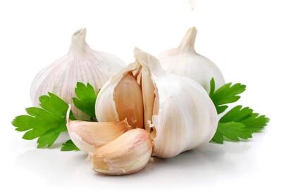 سیر ناشتا: آیا سیر ناشتابرای بدن مفید است یا خیر؟!