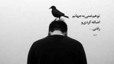 دانلود آهنگ لابد دوسش داشتی از شادمهر و هایده و محسن چاوشی + کیفیت اصلی