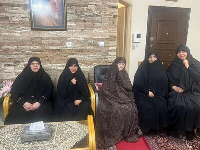 معاون رئیس‌جمهور با مادر شهید باقری دیدار کرد