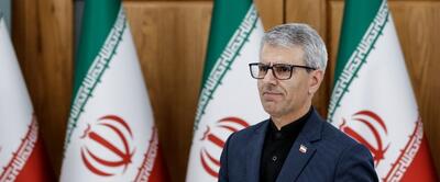 بقائی: برای شرکت در اجلاس سران کشور‌های عضو ‎بریکس وارد ریو دو ژانیرو (‎برزیل) شدیم