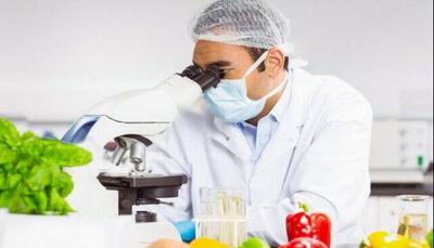 ساخت نانوحسگری که سلامت غذا را در ۱۵ دقیقه آزمایش می‌کند