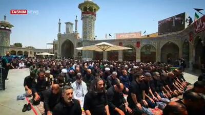 اقامه نماز جماعت باشکوه ظهر عاشورا در حرم حضرت معصومه(س) + فیلم
