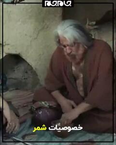 سرنوشت شمر ملعون چه شد؟