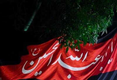 حماسه عاشورا در وجدان آزادگان جهان جاودانه  شد