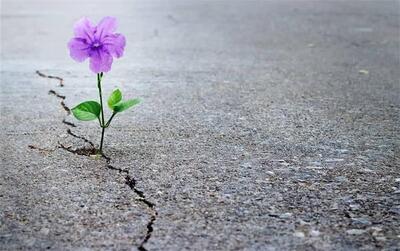 تأثیر جنگ بر امید به زندگی