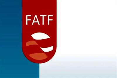 پاسخ رئیس FATF به تعلیق آمریکا و اسرائیل