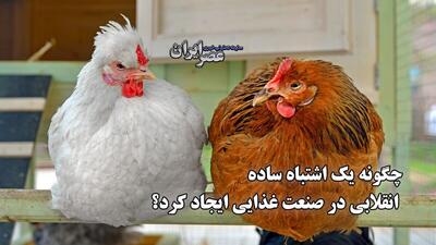 چگونه یک اشتباه ساده انقلابی در صنعت غذایی ایجاد کرد؟ زن شجاع روستایی و یک صفر اضافه ! (فیلم)