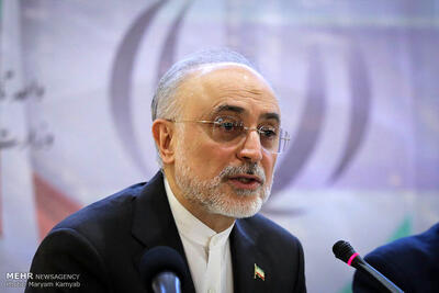 توئیت معنادار صالحی درباره اولویت حکمرانی در جمهوری اسلامی