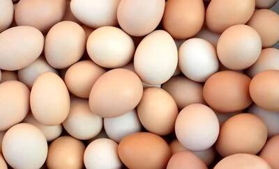 رازهای ناگفته تخم مرغ محلی/ از اسطوره درمان کم خونی تا واقعیت علمی